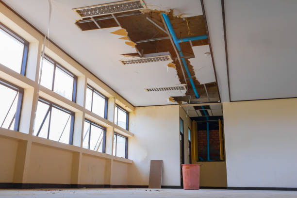 Best Water damage restoration mold remediation  in Moline, IL
