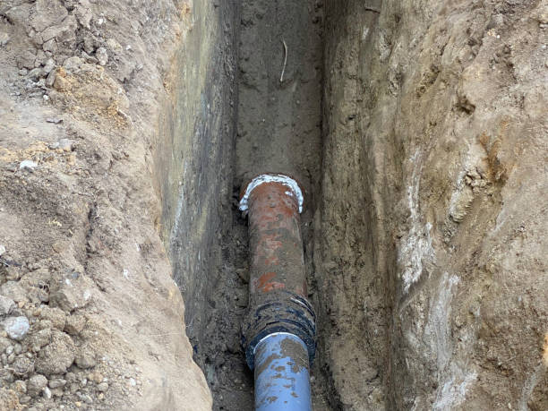 Best Emergency water extraction  in Moline, IL