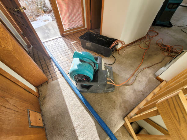 Best Flooded house restoration  in Moline, IL