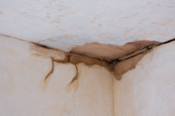 Best Ceiling water damage repair  in Moline, IL