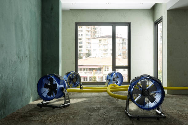 Best Water damage restoration company  in Moline, IL