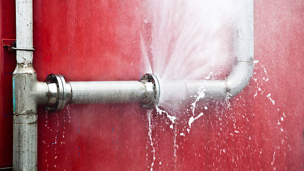 Best Flood damage cleanup  in Moline, IL